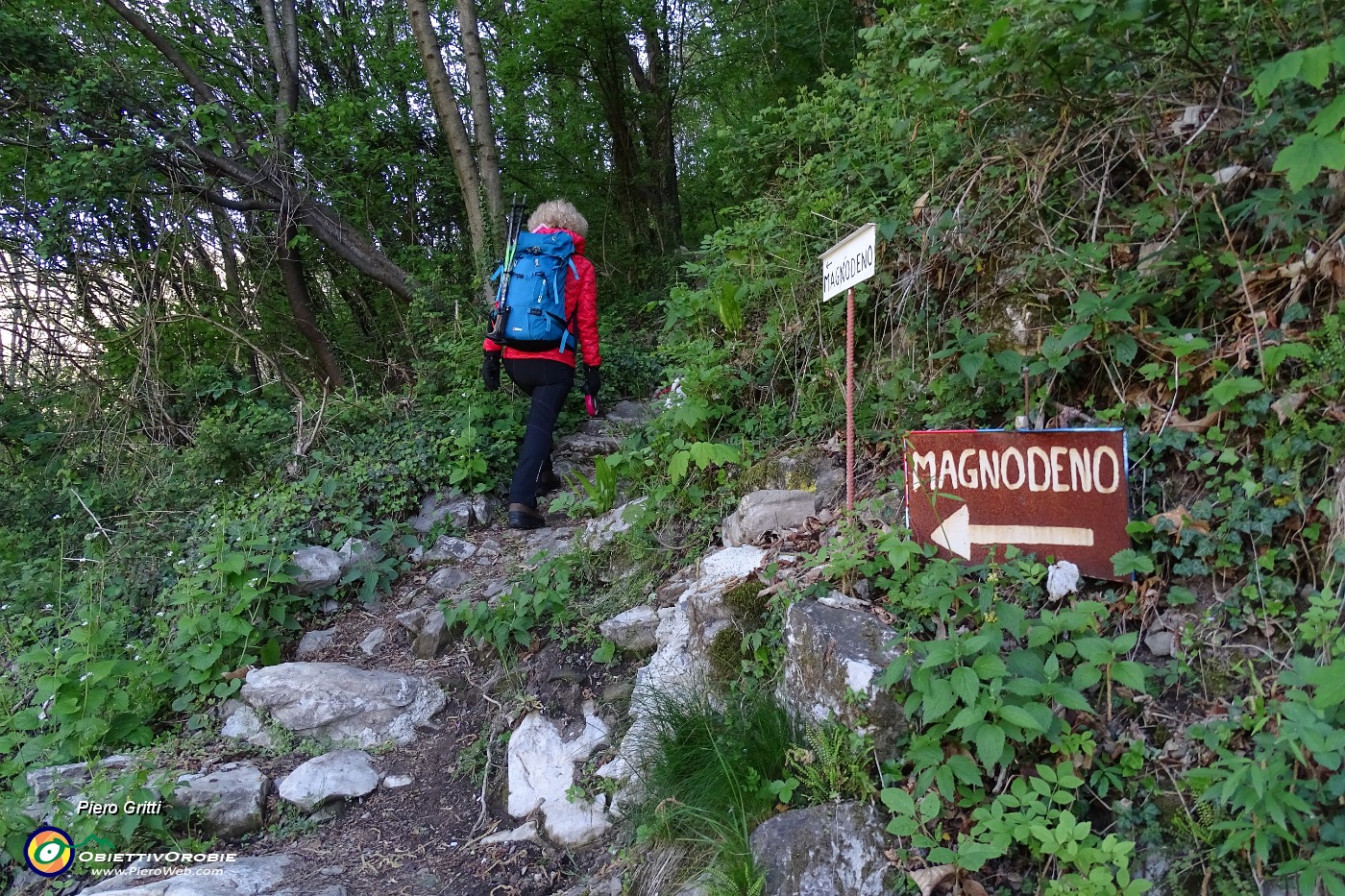 08 Sentiero 29 per il Magnodeno.JPG